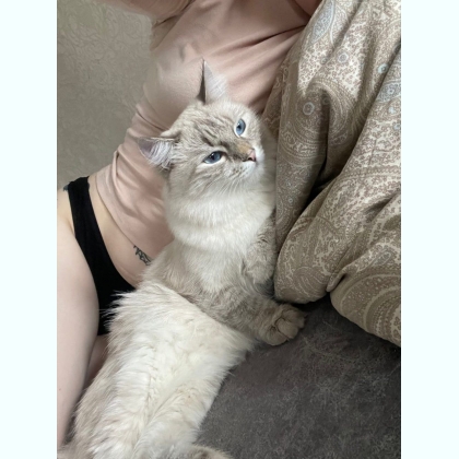 ��� ������� ����� �a��� �o����� �o��a��� 